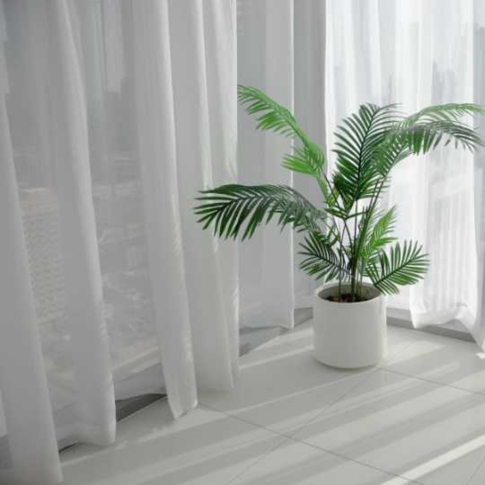 Rèm voan trắng tinh - Ảnh 3